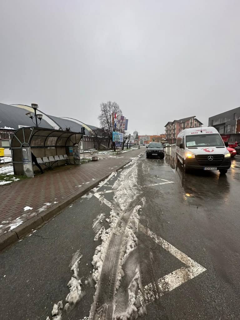 statie autobuz lugoj sala sporturilor