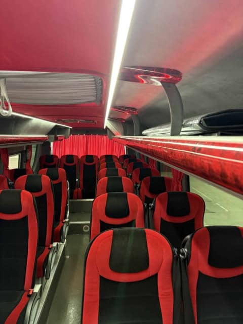 Rândurile de scaune și portbagajele de deasupra din microbuzul de 30 de locuri