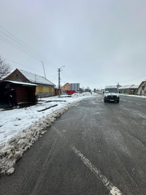 statie autobuz traian vuia